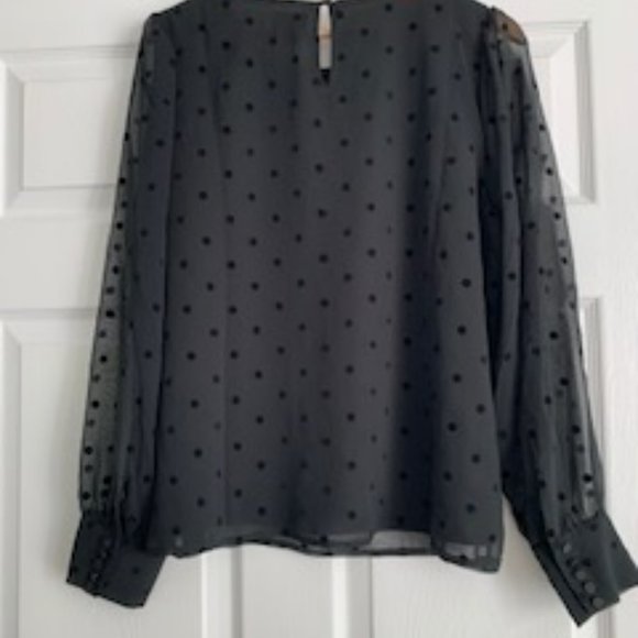 J Crew Sheer Chiffon Dot Sleeve Flock Top - Picture 5 of 5
